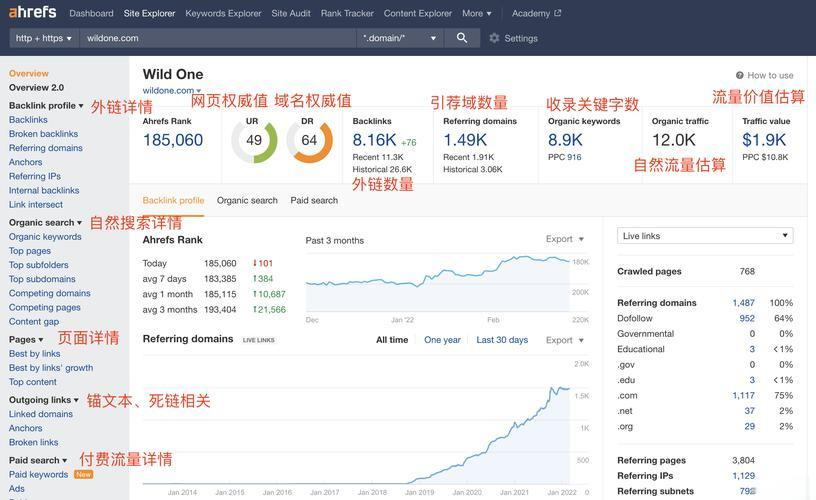 如何使用Ahrefs进行PPC广告优化？如何在Ahrefs中分析Google Ads数据？