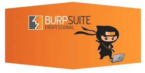 BurpSuite怎么分析网站结构 BurpSuite怎么发现隐藏目录