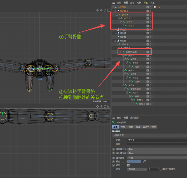 C4D绑定骨骼为什么不能动 C4D绑定骨骼后怎么做动作