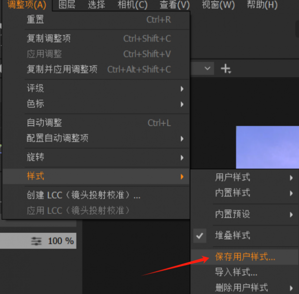 样式