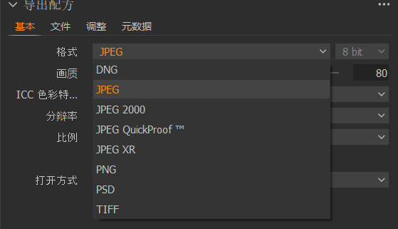 格式