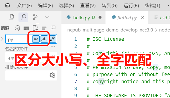 大小写、全字匹配限制