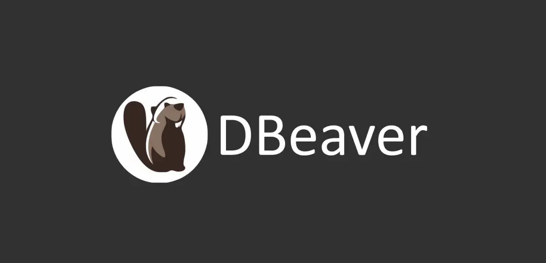 DBeaver使用教程-DBeaver中文网站