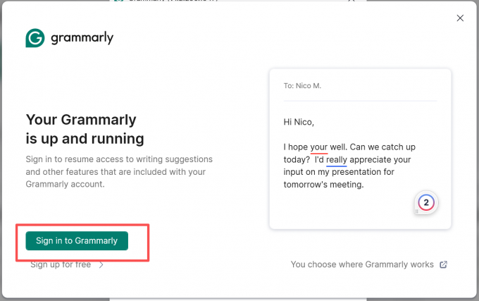 启动Grammarly