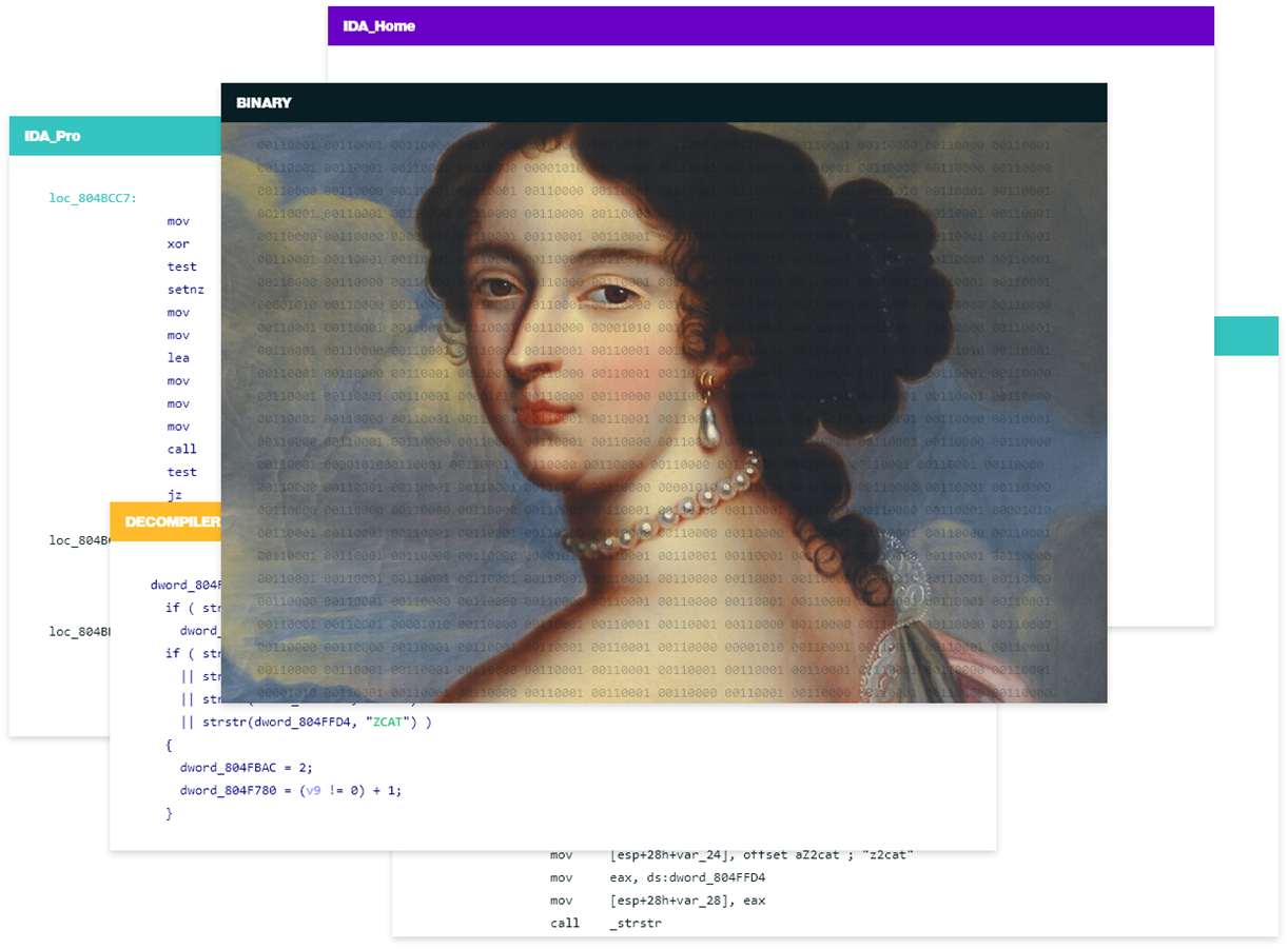 IDA Pro