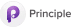 Principle