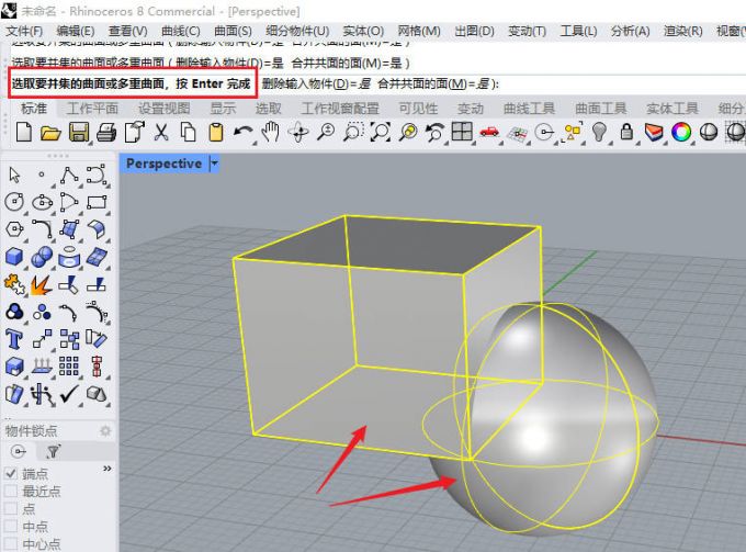 选项基本实体