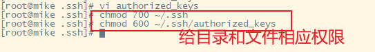 在服务器中给公钥文件和所在目录开放相应权限