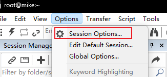 打开Session Options
