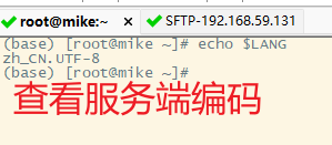 查看服务端编码