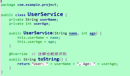 Java代码的显示效果