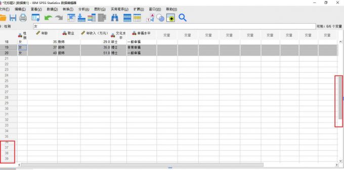 查看变量及个案上限