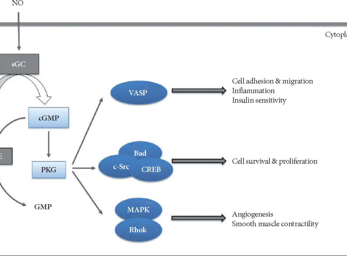 VASP软件与其他材料模拟工具的对比分析  VASP如何高效进行材料模拟